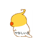 色々インコ（個別スタンプ：14）