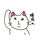 ふてこい猫（個別スタンプ：13）