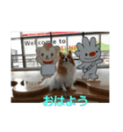 ぱぴぱぴパピヨン1（個別スタンプ：6）