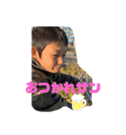 イベント子猫達（個別スタンプ：12）