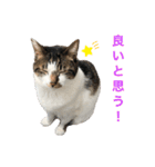 まくら時々ふとん2'（個別スタンプ：6）