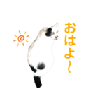 まくら時々ふとん2'（個別スタンプ：10）