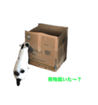 まくら時々ふとん2'（個別スタンプ：15）