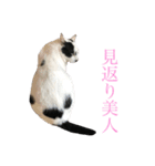 まくら時々ふとん2'（個別スタンプ：31）