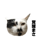 まくら時々ふとん2'（個別スタンプ：32）