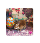 ず〜っと使えるスタンプ（個別スタンプ：12）