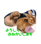 ず〜っと使えるスタンプ（個別スタンプ：14）