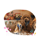 ず〜っと使えるスタンプ（個別スタンプ：22）