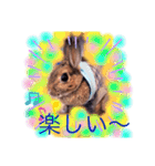 ウサギの可愛いスタンプ（個別スタンプ：1）