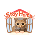 ナノマロ4（個別スタンプ：3）