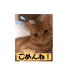 ナノマロ4（個別スタンプ：5）