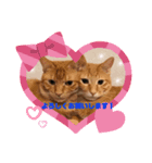 ナノマロ4（個別スタンプ：7）