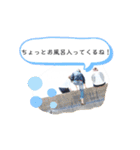 Les CinQ(レ・サンク)修正版（個別スタンプ：26）