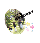 Les CinQ(レ・サンク)修正版（個別スタンプ：37）
