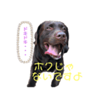 ママハン部（個別スタンプ：2）
