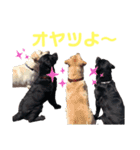 ママハン部（個別スタンプ：5）
