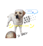 ママハン部（個別スタンプ：10）