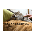 みかんとおかか（個別スタンプ：4）