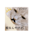 yuyuringo326（個別スタンプ：1）
