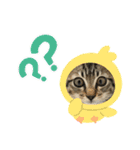かりゆし たまちゃん3（個別スタンプ：5）