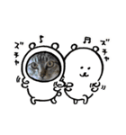 かりゆし たまちゃん3（個別スタンプ：11）