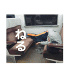 わたしたちのスタンプ総集編（個別スタンプ：7）
