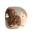 ねこちゃんSTAMP（個別スタンプ：9）