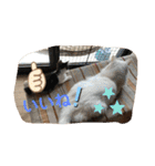 ねこちゃんSTAMP（個別スタンプ：16）