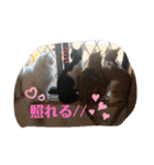ねこちゃんSTAMP（個別スタンプ：26）