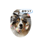 まりんの1日Ver.2（個別スタンプ：2）