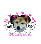 マルのスタンプです。（個別スタンプ：3）