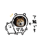 マルのスタンプです。（個別スタンプ：4）