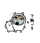マルのスタンプです。（個別スタンプ：6）