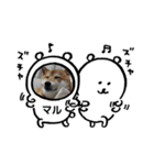 マルのスタンプです。（個別スタンプ：7）