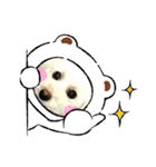 トイプードルのパルピノ⑦（個別スタンプ：5）