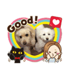 トイプードルのパルピノ⑦（個別スタンプ：22）