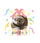 マハロの日常生活3（個別スタンプ：10）