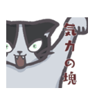 ひねくれた猫スタンプ（個別スタンプ：2）