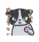 ひねくれた猫スタンプ（個別スタンプ：5）