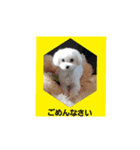 みるくの気持ち1（個別スタンプ：6）