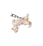 みるくの気持ち1（個別スタンプ：7）
