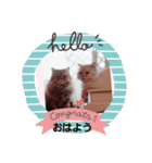 FUJIitt（個別スタンプ：1）