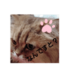 FUJIitt（個別スタンプ：3）