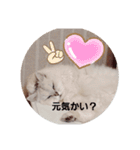 FUJIitt（個別スタンプ：4）