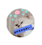 FUJIitt（個別スタンプ：7）