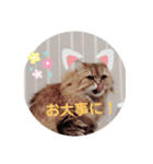 FUJIitt（個別スタンプ：9）
