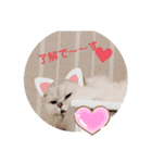 FUJIitt（個別スタンプ：11）