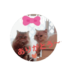 FUJIitt（個別スタンプ：12）