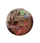 FUJIitt（個別スタンプ：13）