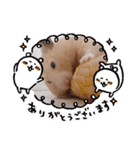 きなこっこ（個別スタンプ：1）